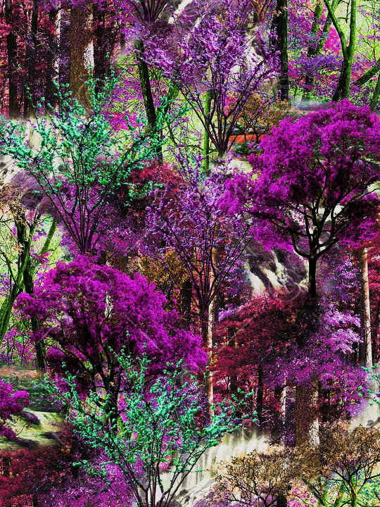 数码华亿平台印花华亿平台图片