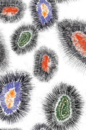 数码华亿平台印花华亿平台图片