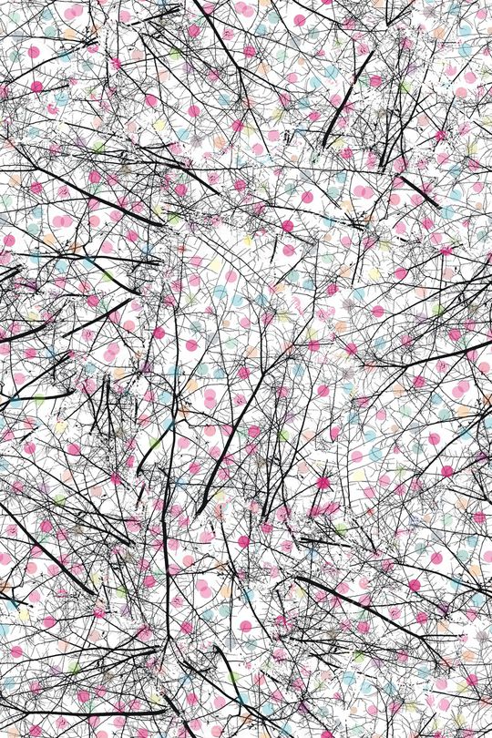 树印花华亿平台图片