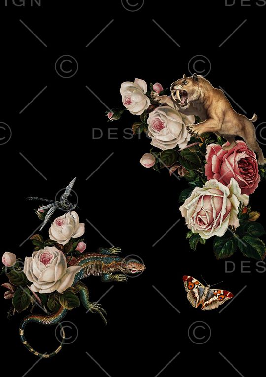 动物花卉印花华亿平台图片