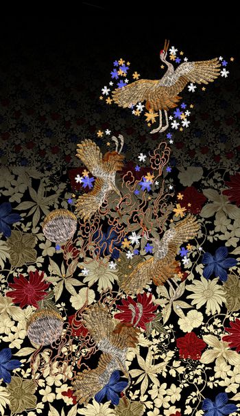 1064808-fghfghtttrrrr