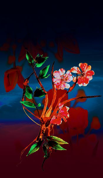 1064881-非官方的股份仍然