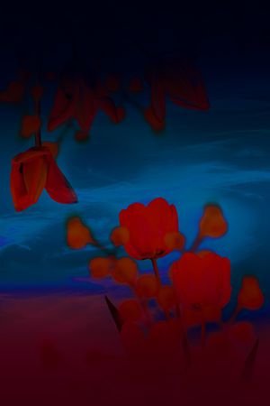 数码华亿平台印花华亿平台图片