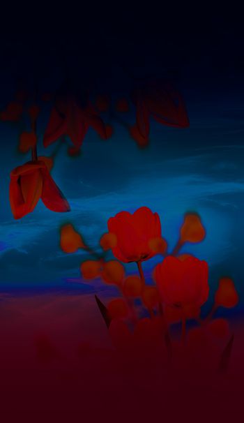 1064882-非官方的股份仍然-1