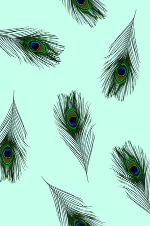 羽毛印花华亿平台图片