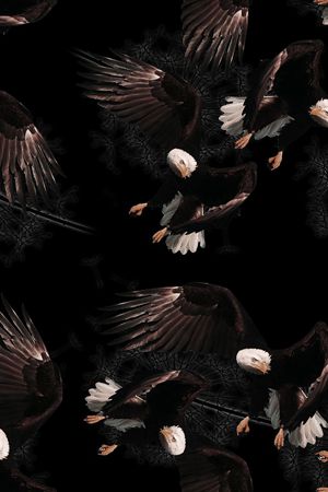 男装印花华亿平台图片