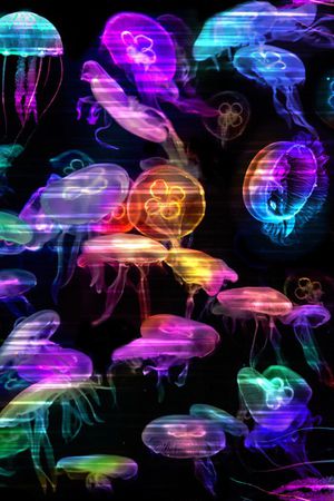 霓虹发光印花华亿平台图片