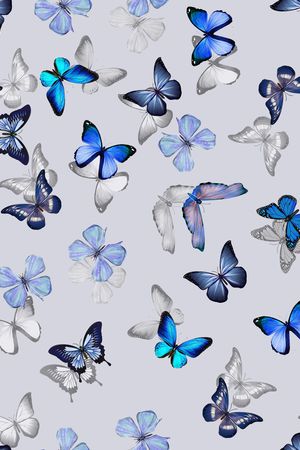 连衣裙印花华亿平台图片