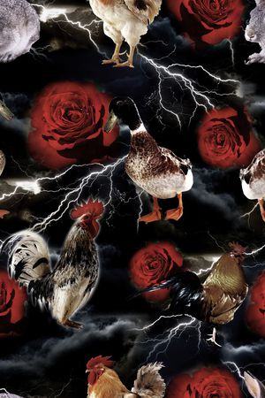 男装印花华亿平台图片