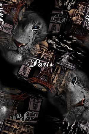 卡通印花华亿平台图片