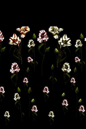 玫瑰花印花华亿平台图片