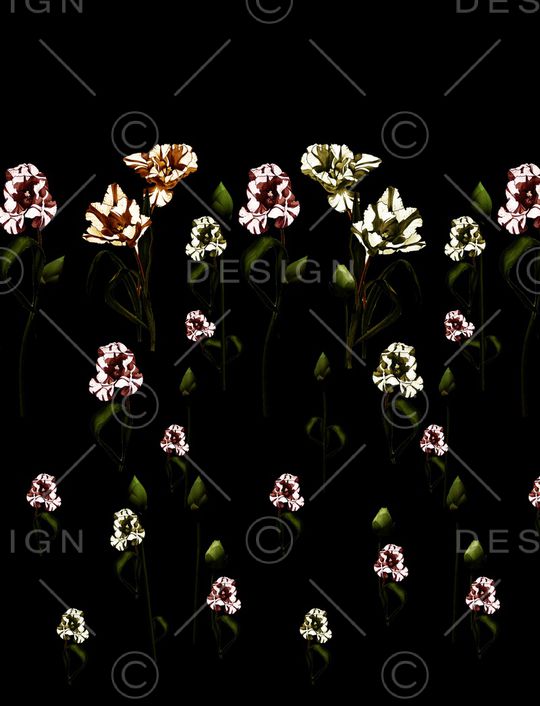 玫瑰花印花华亿平台图片