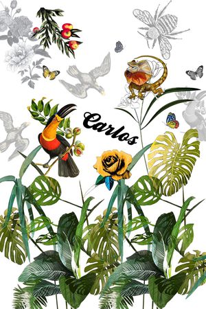 蜥蜴印花华亿平台图片