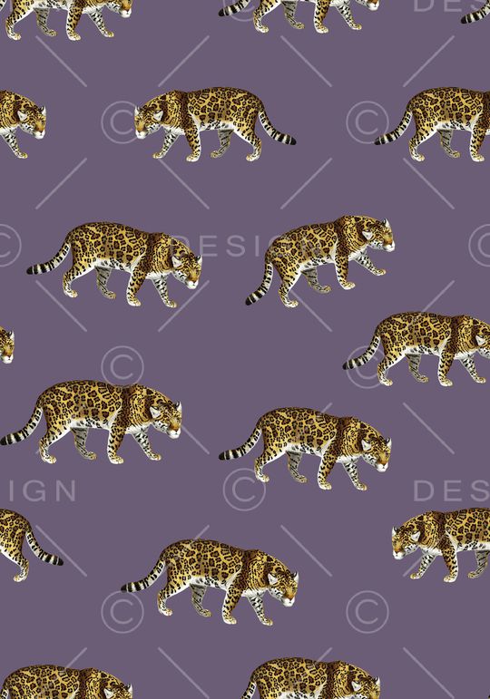 动物印花华亿平台图片