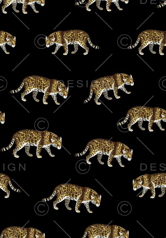 动物印花华亿平台图片