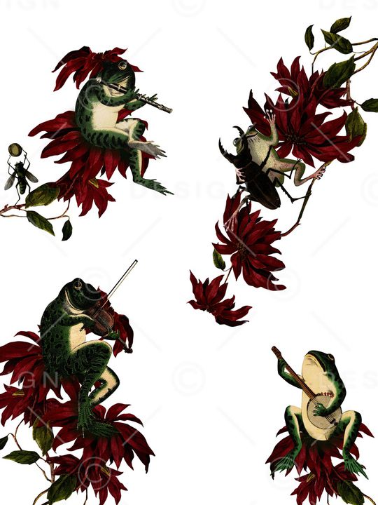 青蛙印花华亿平台图片