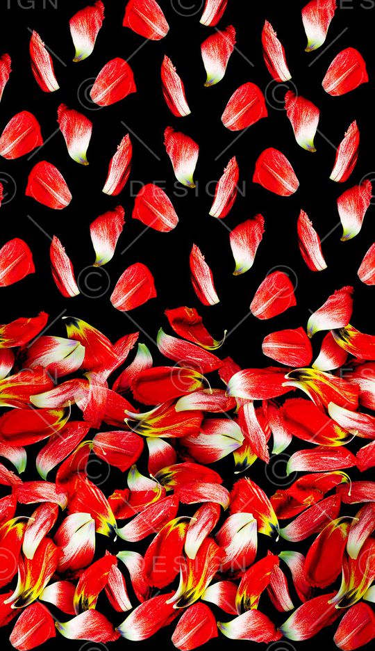 花瓣印花华亿平台图片