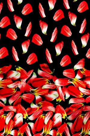 花瓣印花华亿平台图片