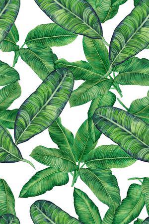 春夏华亿平台印花华亿平台图片