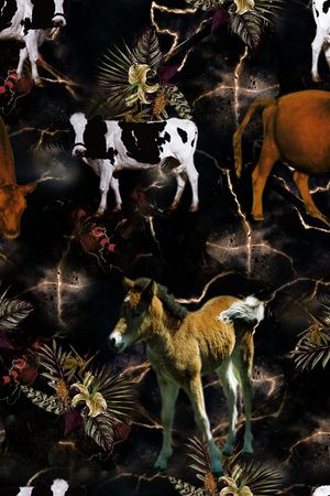 男装印花华亿平台图片