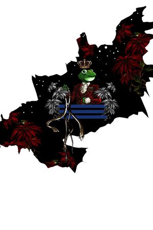 星空印花华亿平台图片