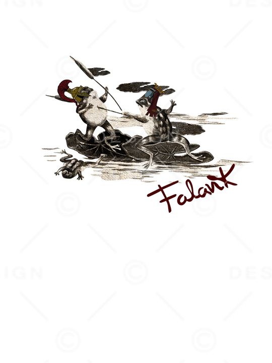 青蛙印花华亿平台图片