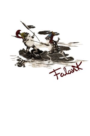 青蛙印花华亿平台图片