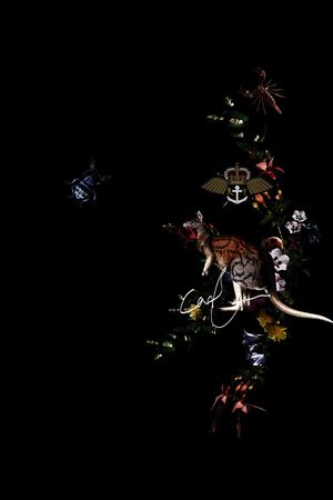 袋鼠印花华亿平台图片