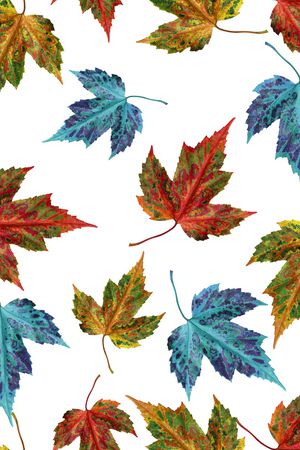 枫叶印花华亿平台图片