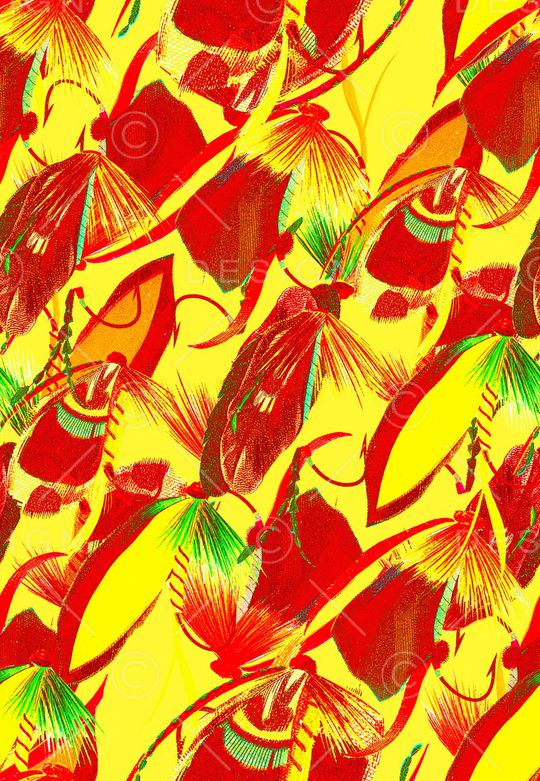 羽毛印花华亿平台图片