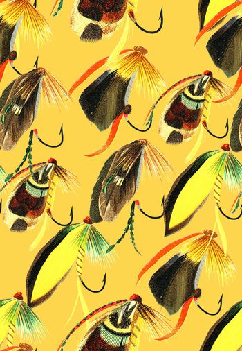 1066965-dfgfdgdfjhjjj-2