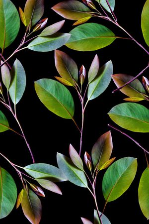 植物印花华亿平台图片