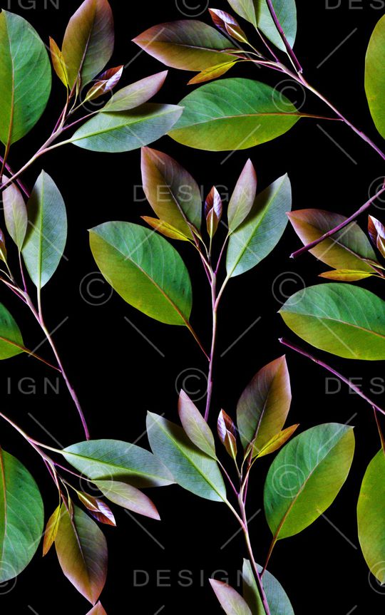 植物印花华亿平台图片