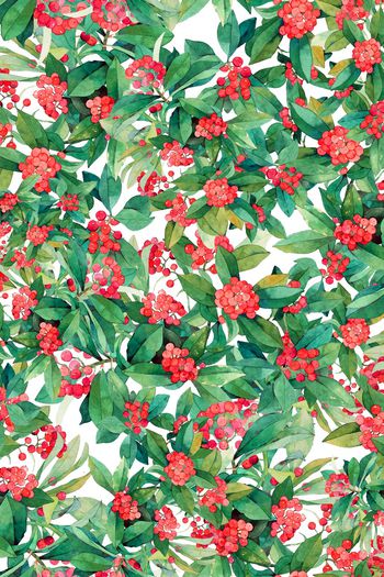 1067638-花卉手绘叶子果实