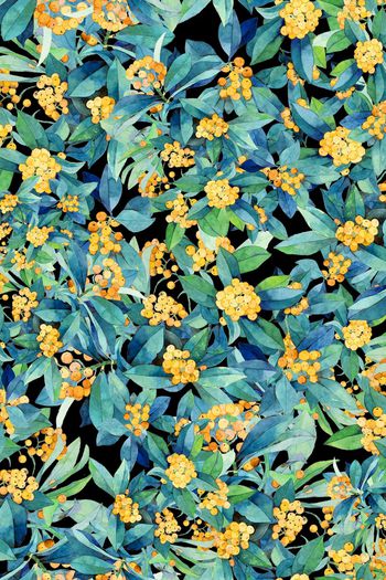 1067639-花卉手绘叶子果实B