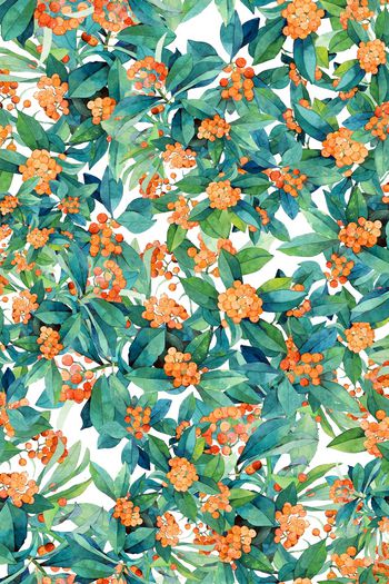 1067645-花卉手绘叶子果实