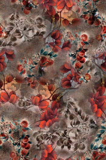 1067778-WX-180519-02