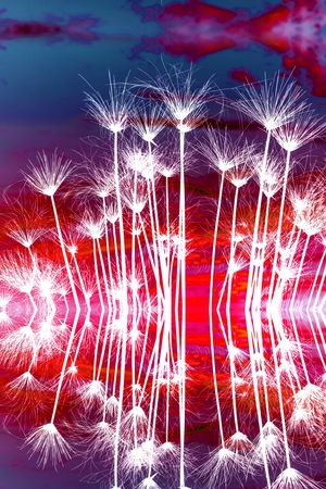 民族风印花华亿平台图片