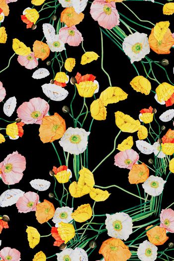 1068023-黑底花卉水彩