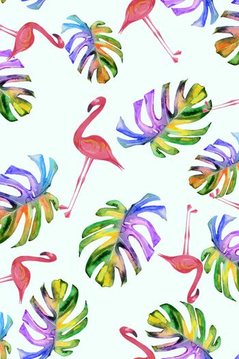 1068025-火烈鸟热带