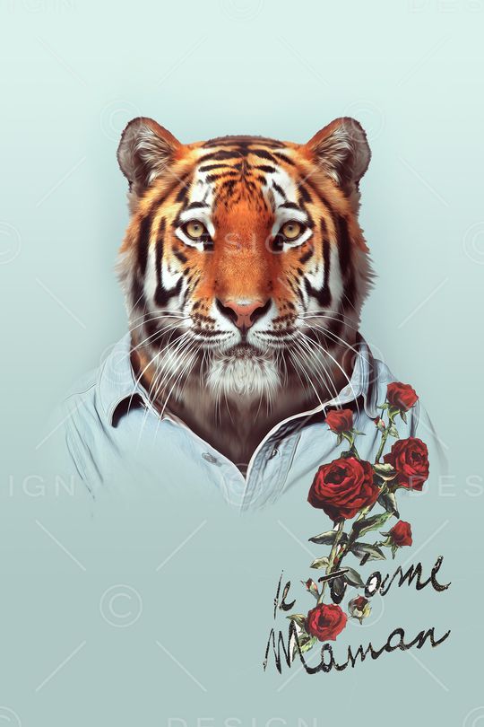 男装印花华亿平台图片