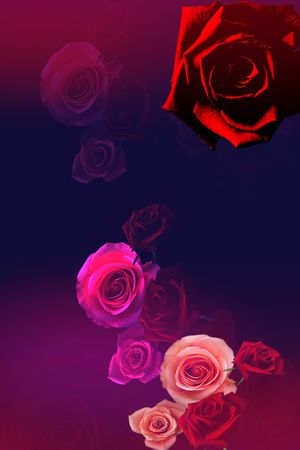 玫瑰花印花华亿平台图片