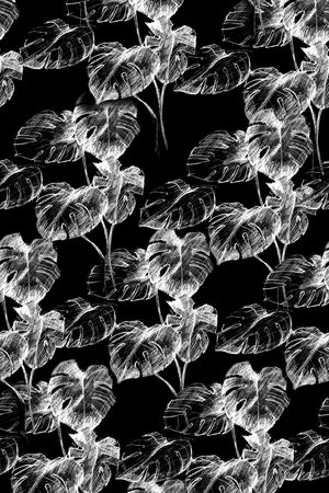 条纹印花华亿平台图片