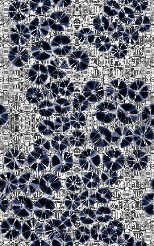 条纹印花华亿平台图片