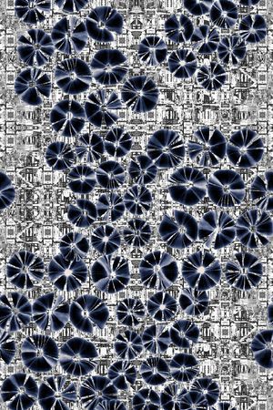 条纹印花华亿平台图片