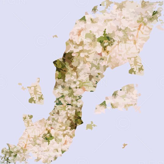 印花华亿平台图片