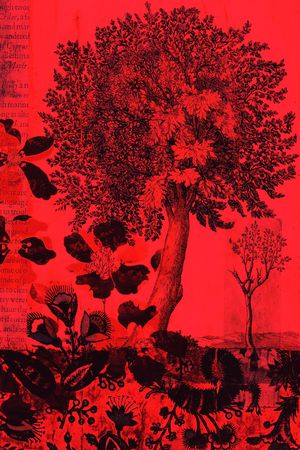 数码华亿平台印花华亿平台图片