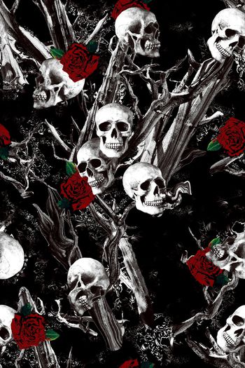 1069350-CSY-N00078-1