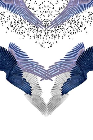 鸟印花华亿平台图片