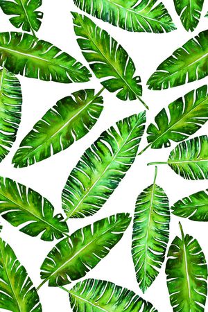 热带华亿平台印花华亿平台图片